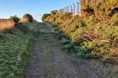 IMG-20221106-WA0026