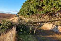 IMG-20221106-WA0029