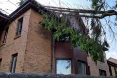 IMG-20221106-WA0030
