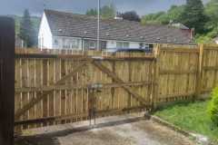 IMG-20221106-WA0046