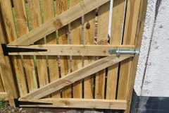 IMG-20221106-WA0050