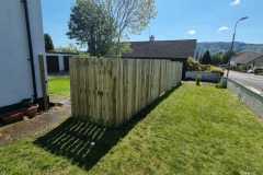 IMG-20221106-WA0051
